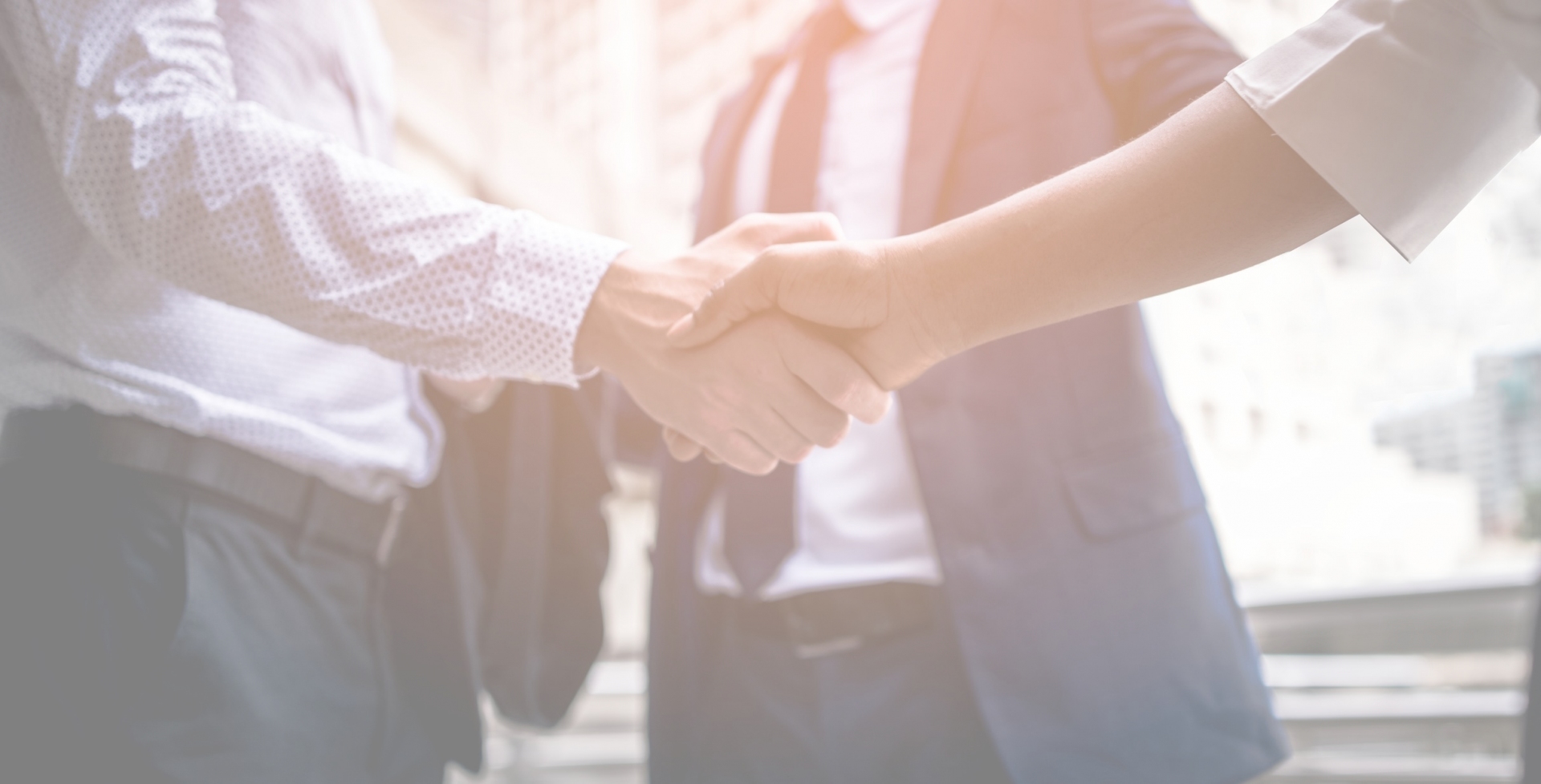 Business Handshake